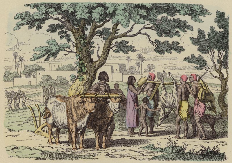Antigo agricultor egípcio e caçadores (gravura colorida) de German School