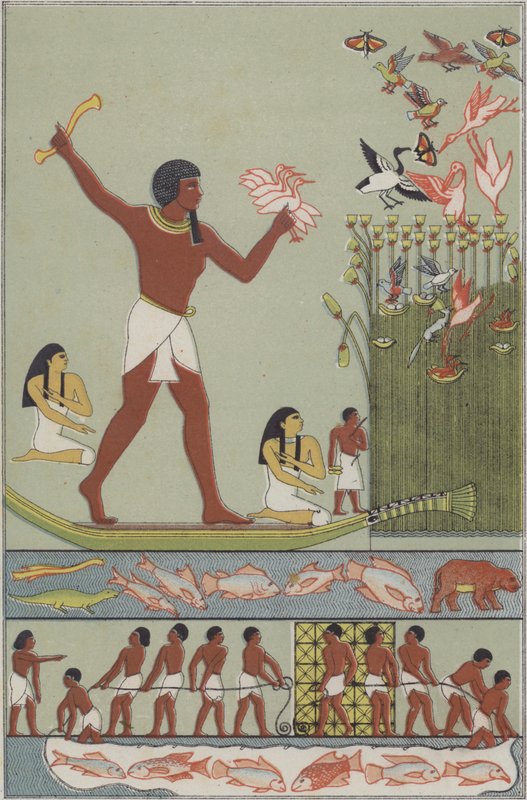 Antigos egípcios pescando e caçando aves (cor litho) de German School