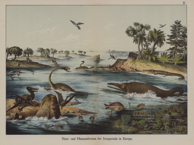 Animais e plantas do Período Jurássico na Europa (cor litho) de German School