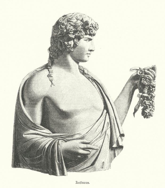 Antinoso, jovem grego e favorito, ou amante, do Imperador Romano Adriano (gravura) de German School