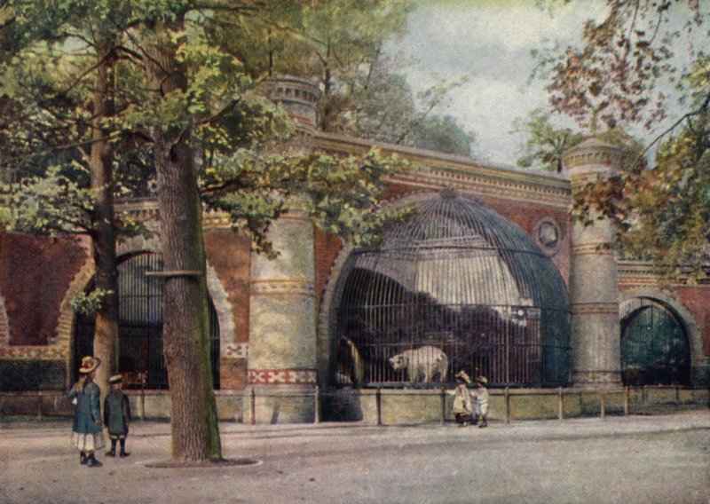 Recinto do urso, Jardim Zoológico de Berlim, Alemanha (cor litho) de German School