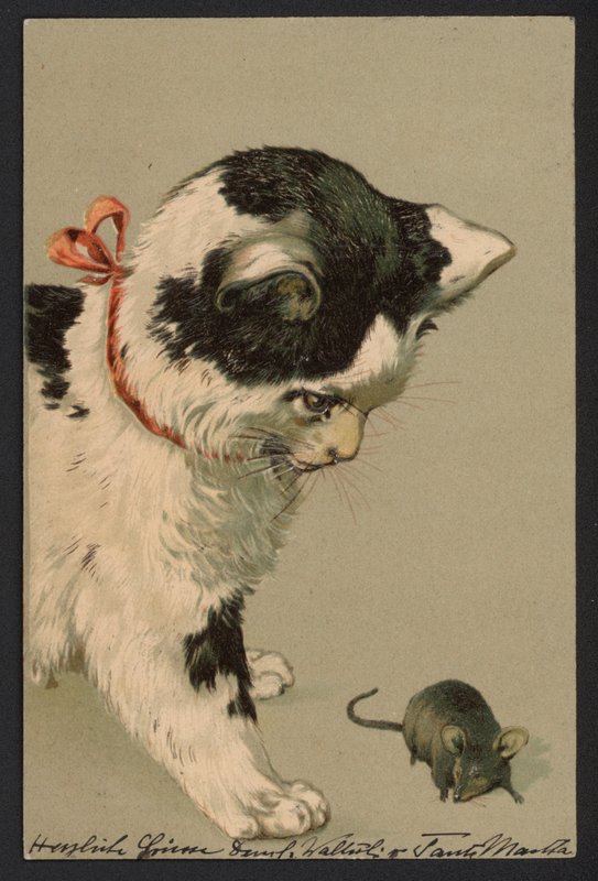 Gato a brincar com um rato (litografia a cores) de German School