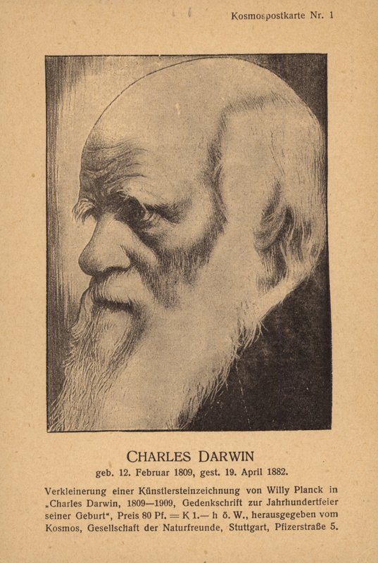 Charles Darwin (1809-1882), naturalista inglês (litografia) de German School