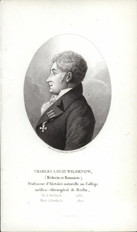Charles Louis Wildenow de German School