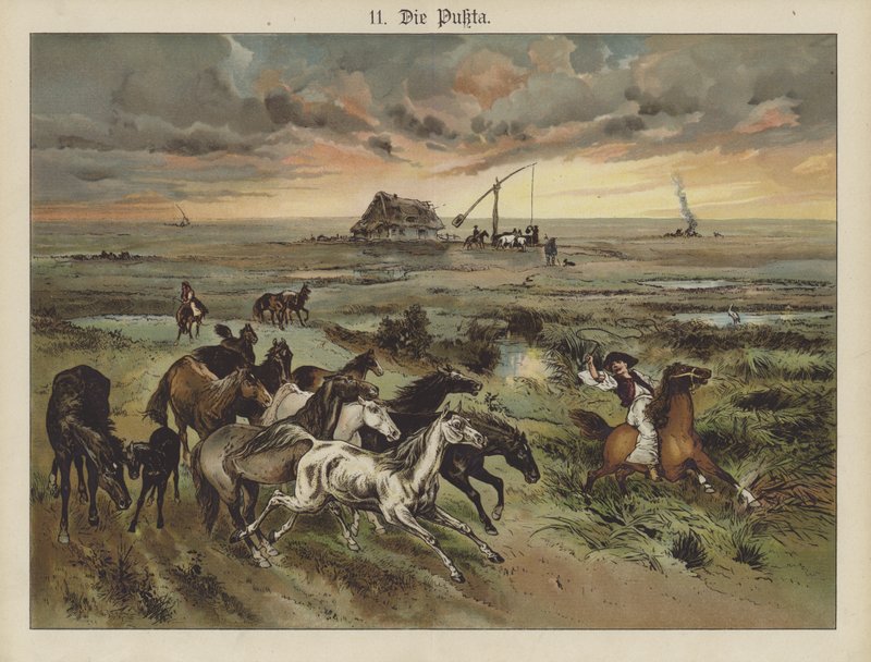 Die Pukta (cor litho) de German School