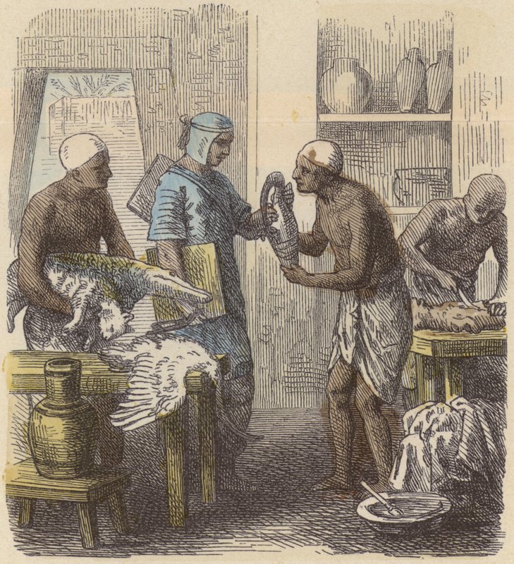 Embalsamamento de animais no Antigo Egipto (gravura colorida) de German School