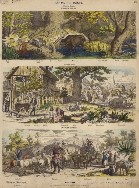 Europa: floresta na Lituânia; aldeia alemã; estrada nacional italiana (gravura a cores) de German School