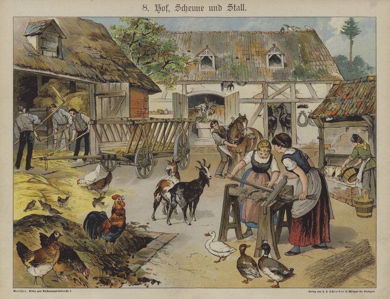 Fazenda (cor litho) de German School