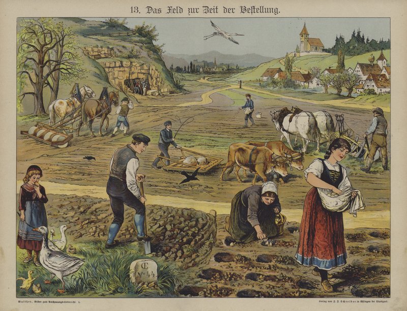 Agricultura (cor litho) de German School