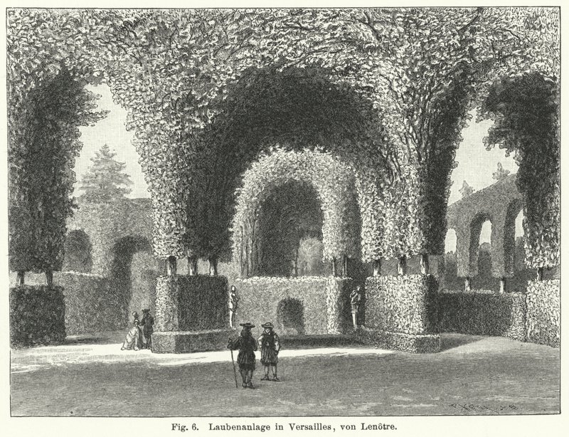 Desenho do jardim: árvores nos jardins de Versailles, França, desenhadas por Andre le Notre no século XVII (gravura) de German School