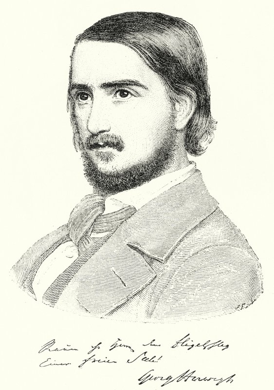 Georg Herwegh, poeta alemão (gravura) de German School