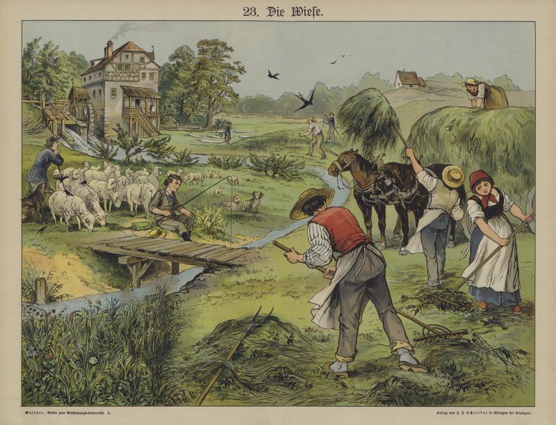 Relva (cor litho) de German School