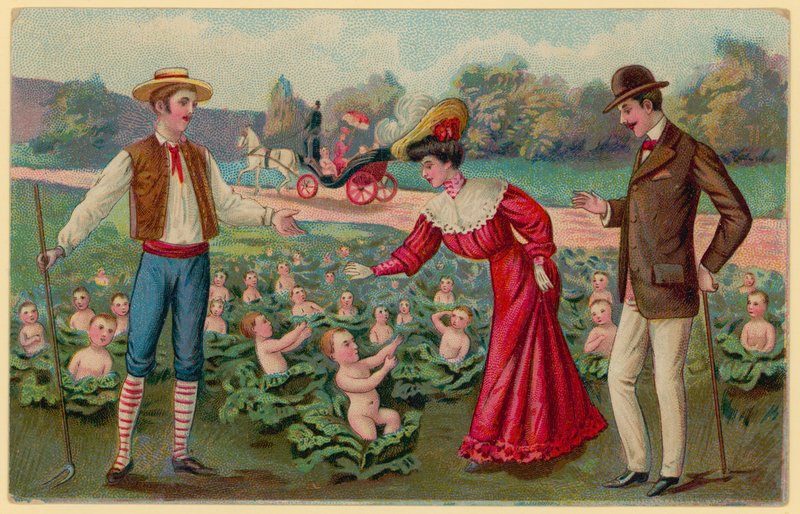 Bebês crescentes de repolhos de German School