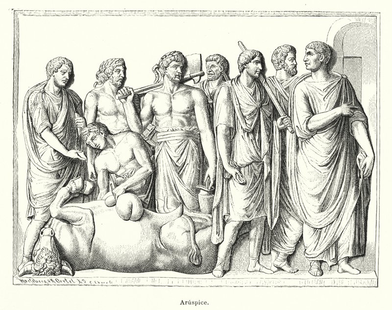 Haruspex, antigo sacerdote romano que examinava os estratos dos animais sacrificados para prever o futuro (litho) de German School