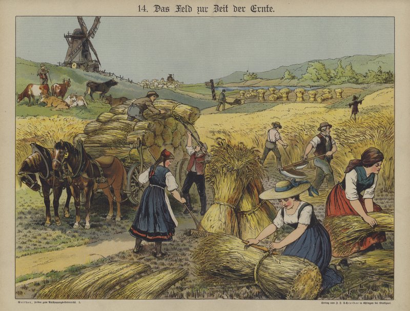 Colheita (cor litho) de German School