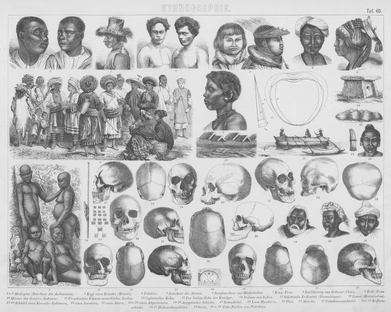 Ilustração para o Bilder-Atlas: Raças e caveiras (gravura) de German School