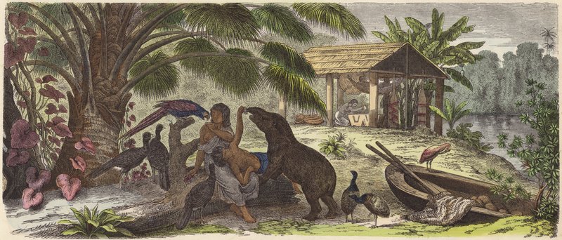 Casa indígena no rio Orinoco (gravura colorida) de German School