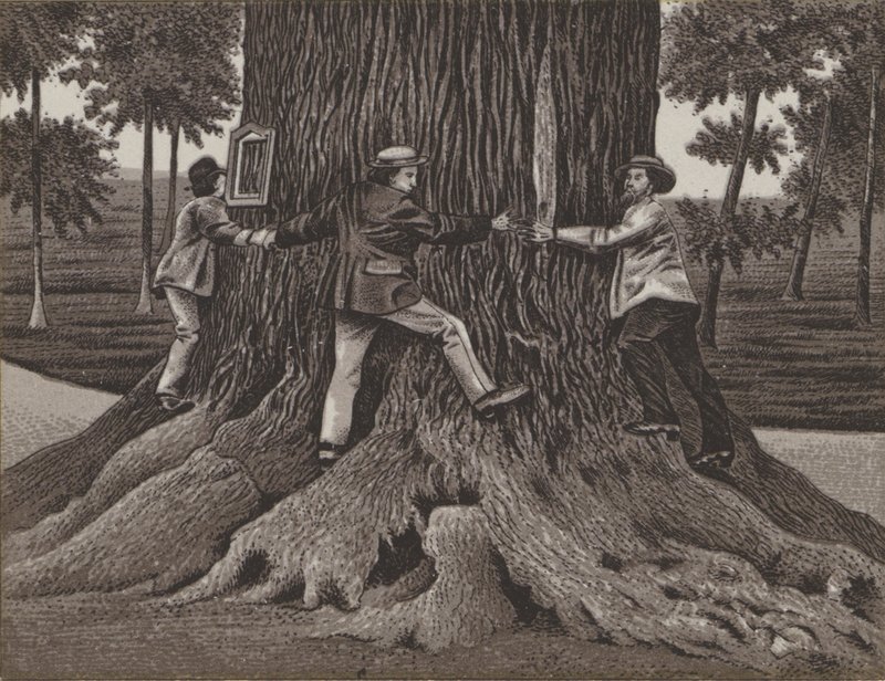 Korner oak para Dallwitz (litho) de German School