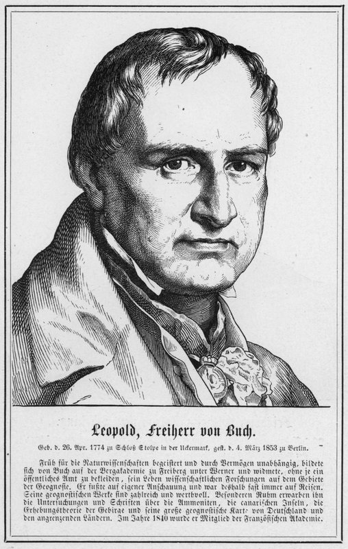 Leopold, Barão von Buch (gravura) de German School