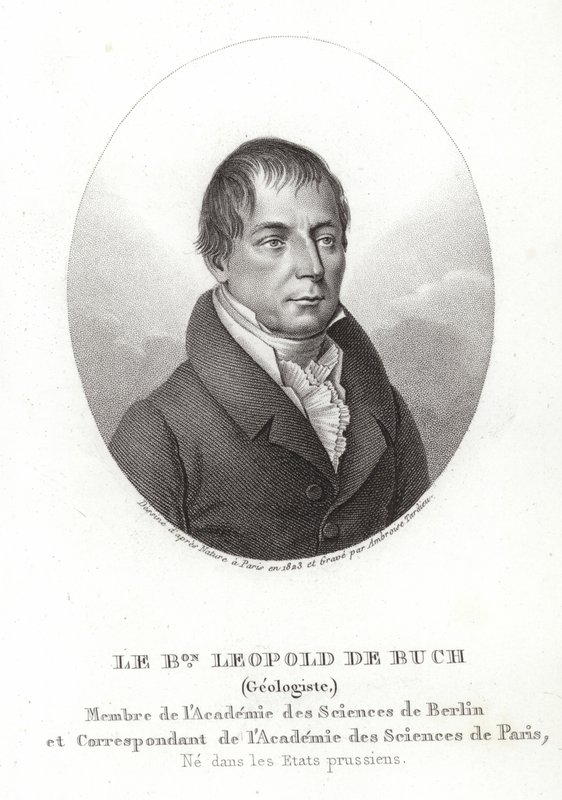 Leopold of Buch de German School