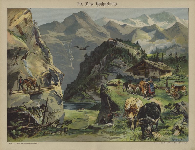 Vida na montanha (cor litho) de German School