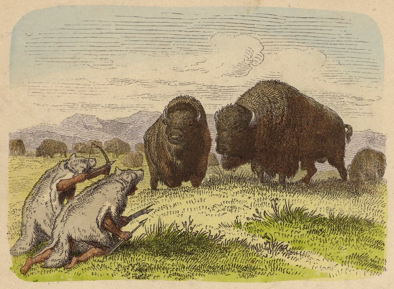 Nativos americanos usando peles de lobo caçando búfalos (gravura colorida) de German School