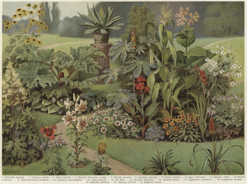 Plantas ornamentais de German School