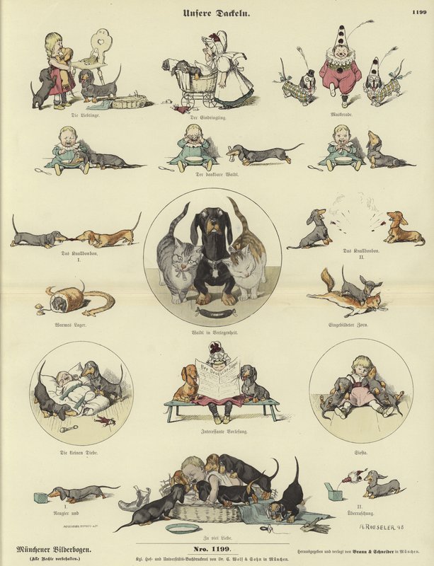 Nossos Dachshunds de German School