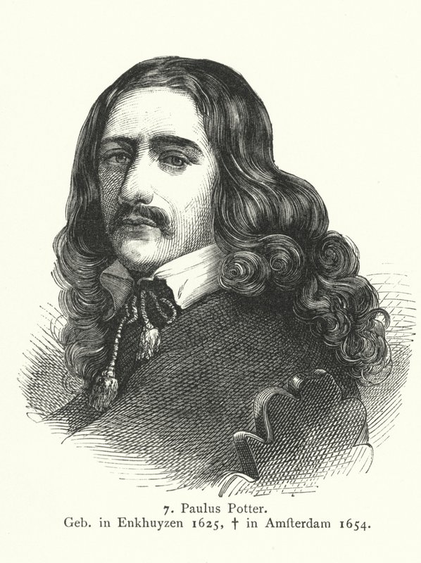 Paulus Potter, pintor da Idade de Ouro holandesa (gravura) de German School