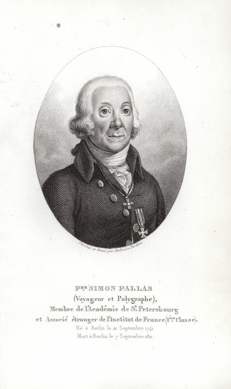 Peter Simon Pallas de German School
