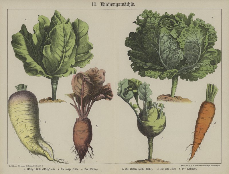 Plantas de German School