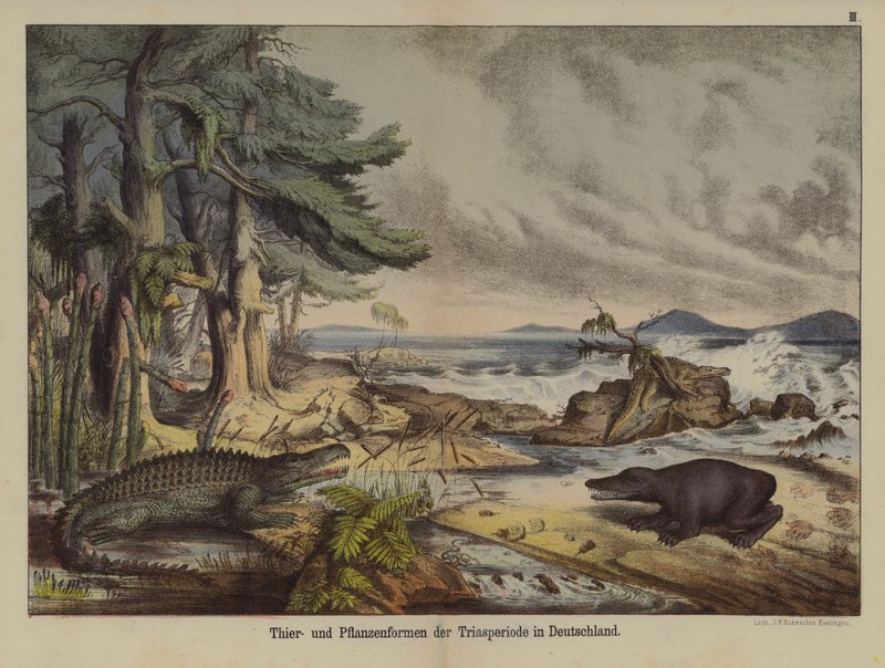 Plantas e animais do Período Triássico na Alemanha (cor litho) de German School