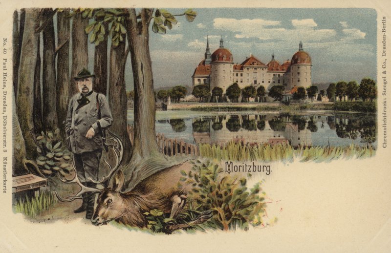 Cartão postal que descreve um homem com um tiro de veado com Moritzburg Castle no fundo de German School
