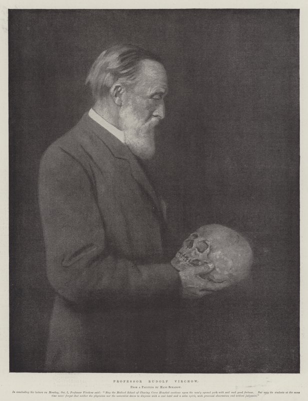 Professor Rudolf Virchow (litho) de German School