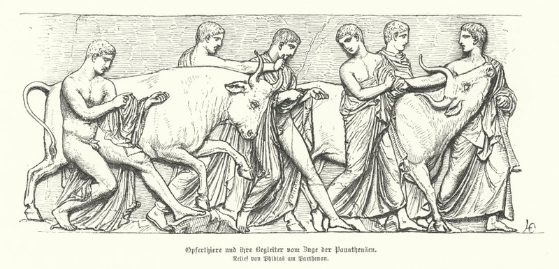 Animais de sacrifício na procissão grega antiga do Panathenaia (gravura) de German School