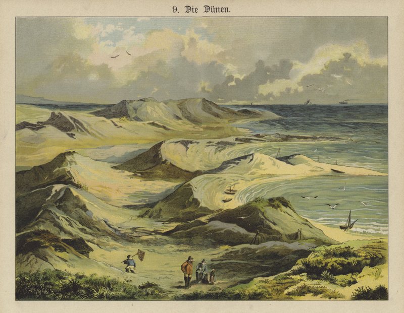 Dunas de areia (cor litho) de German School