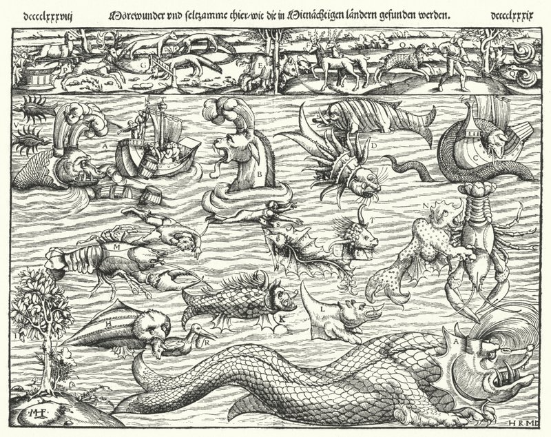 Criaturas marinhas (gravura) de German School