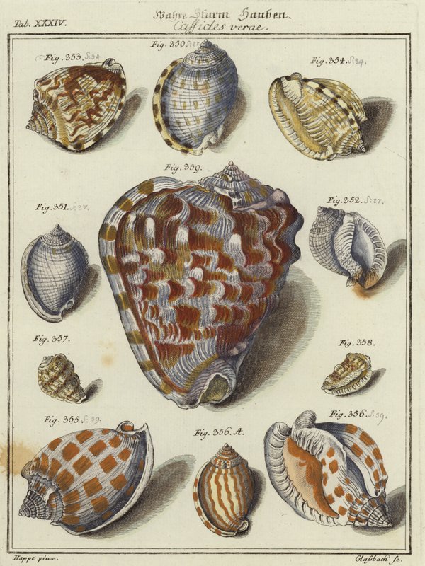 Cartuchos de German School