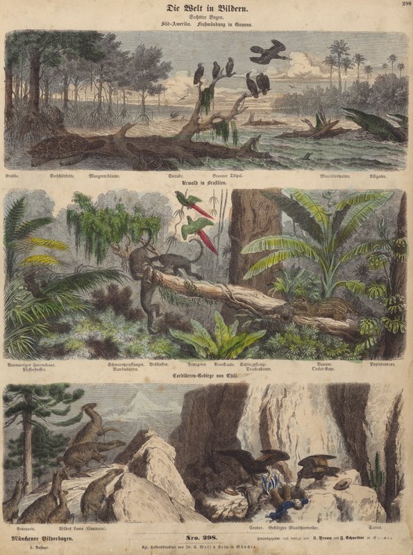 América do Sul: estuário na Guiana; selva no Brasil; Andes chilenos (gravura colorida) de German School