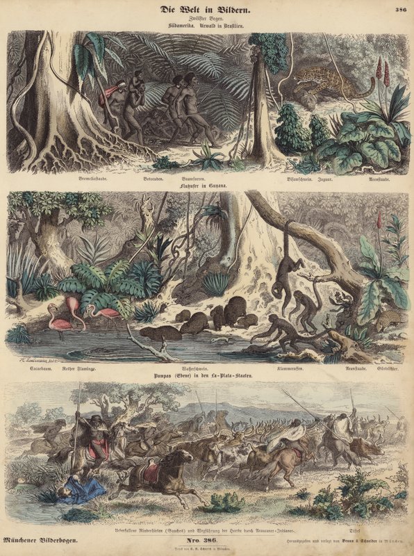 América do Sul: selva no Brasil; margem do rio na Guiana; índios surpreendendo os gaúchos nos Pampas e fugindo com seu rebanho de gado. (gravura colorida) de German School