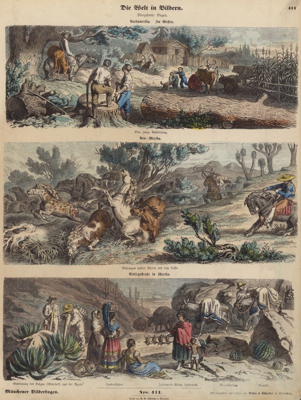 O Oeste Americano: um novo povoado; cavalos selvagens em lasso no Novo México; uma estrada de montanha no México (gravura colorida) de German School