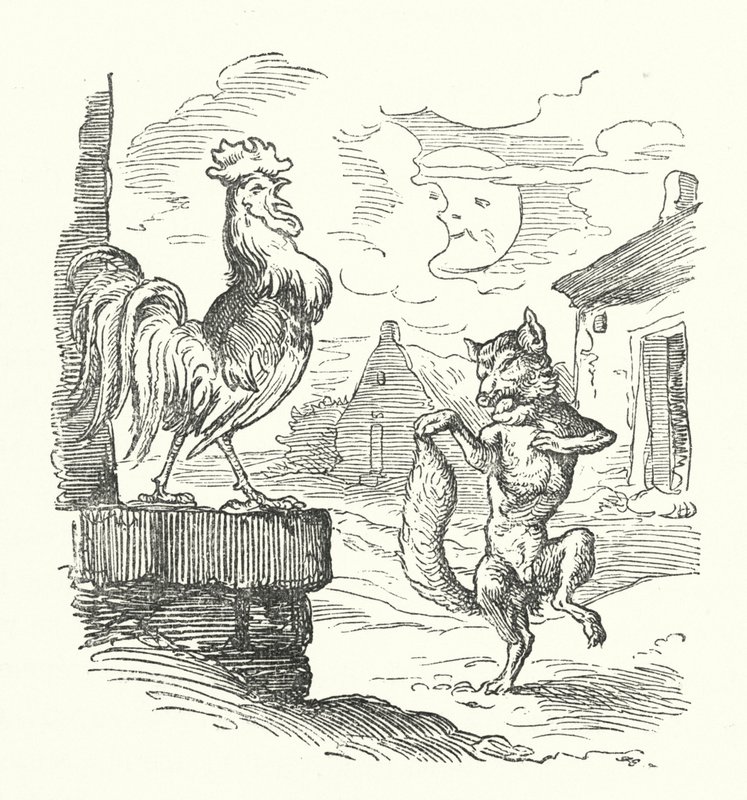 The Cock And The Fox (gravação) de German School