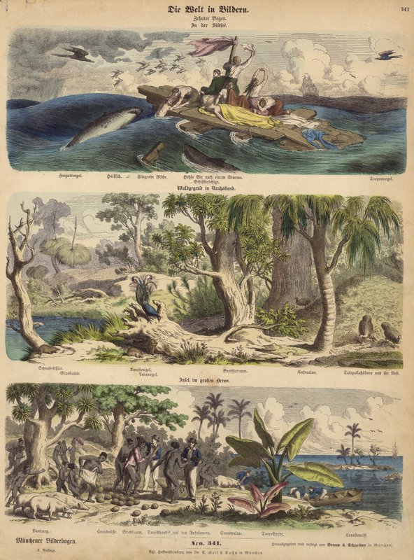 O Pacífico: náufragos sobreviventes à deriva numa jangada nos mares do Sul; floresta na Nova Holanda (Austrália); uma ilha do Pacífico (gravura colorida) de German School