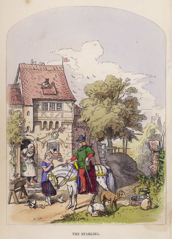 O Estorninho (cor litho) de German School