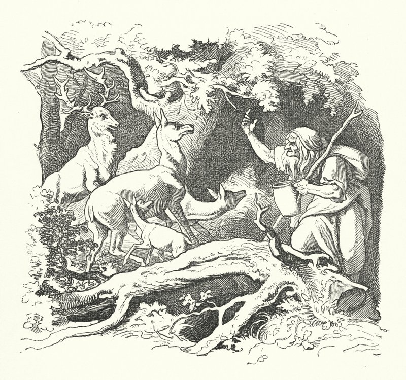 A Bruxa e os Filhos do Rei (gravura) de German School