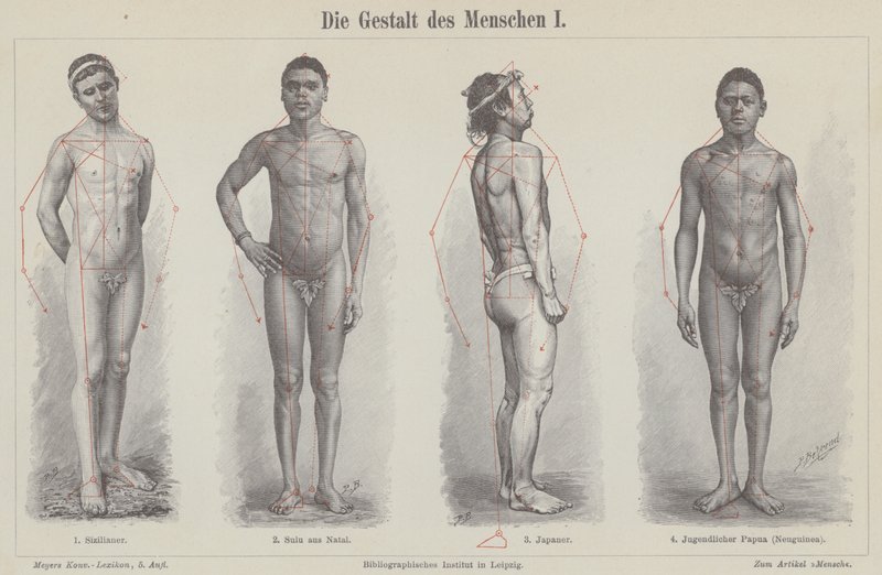 A figura humana (gravura) de German School
