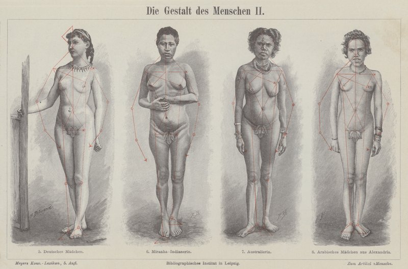 A figura humana (gravura) de German School