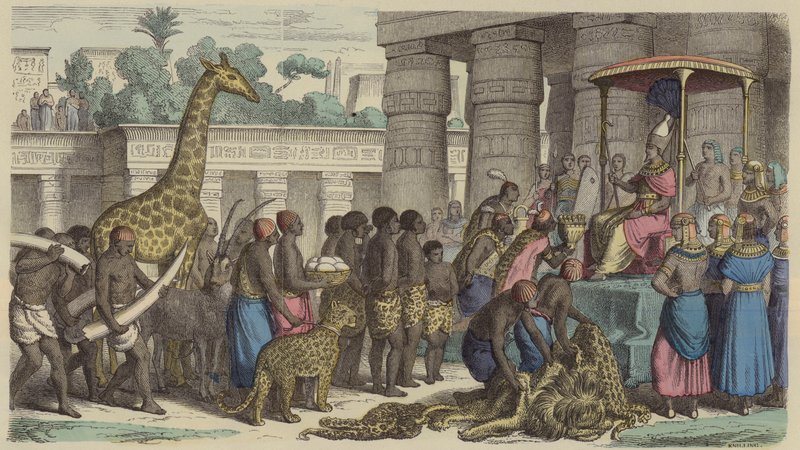 Ofertas de Homenagem da Etiópia a serem apresentadas ao Faraó do Egipto (gravura colorida) de German School