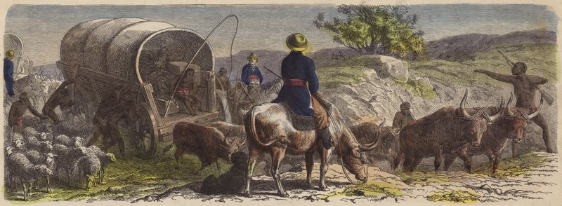 Comboio de vagões na África do Sul (gravação colorida) de German School