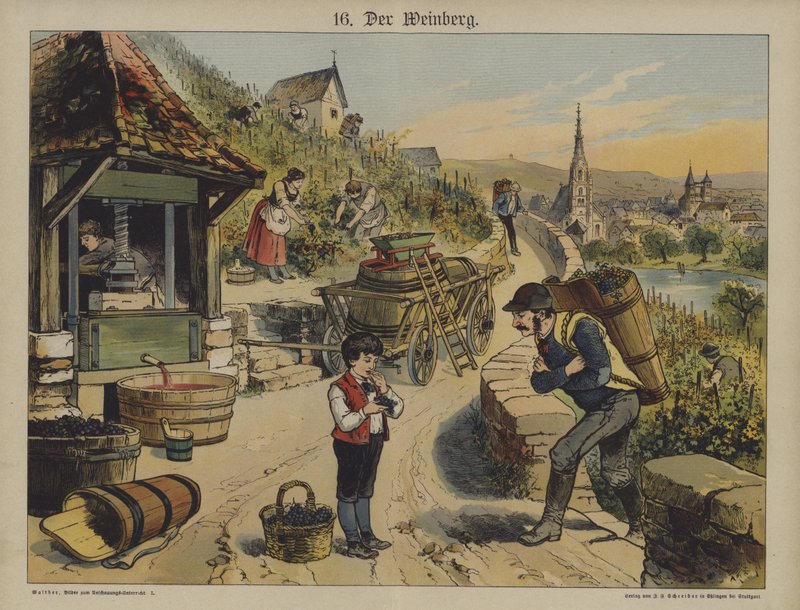 Vinho (cor litho) de German School